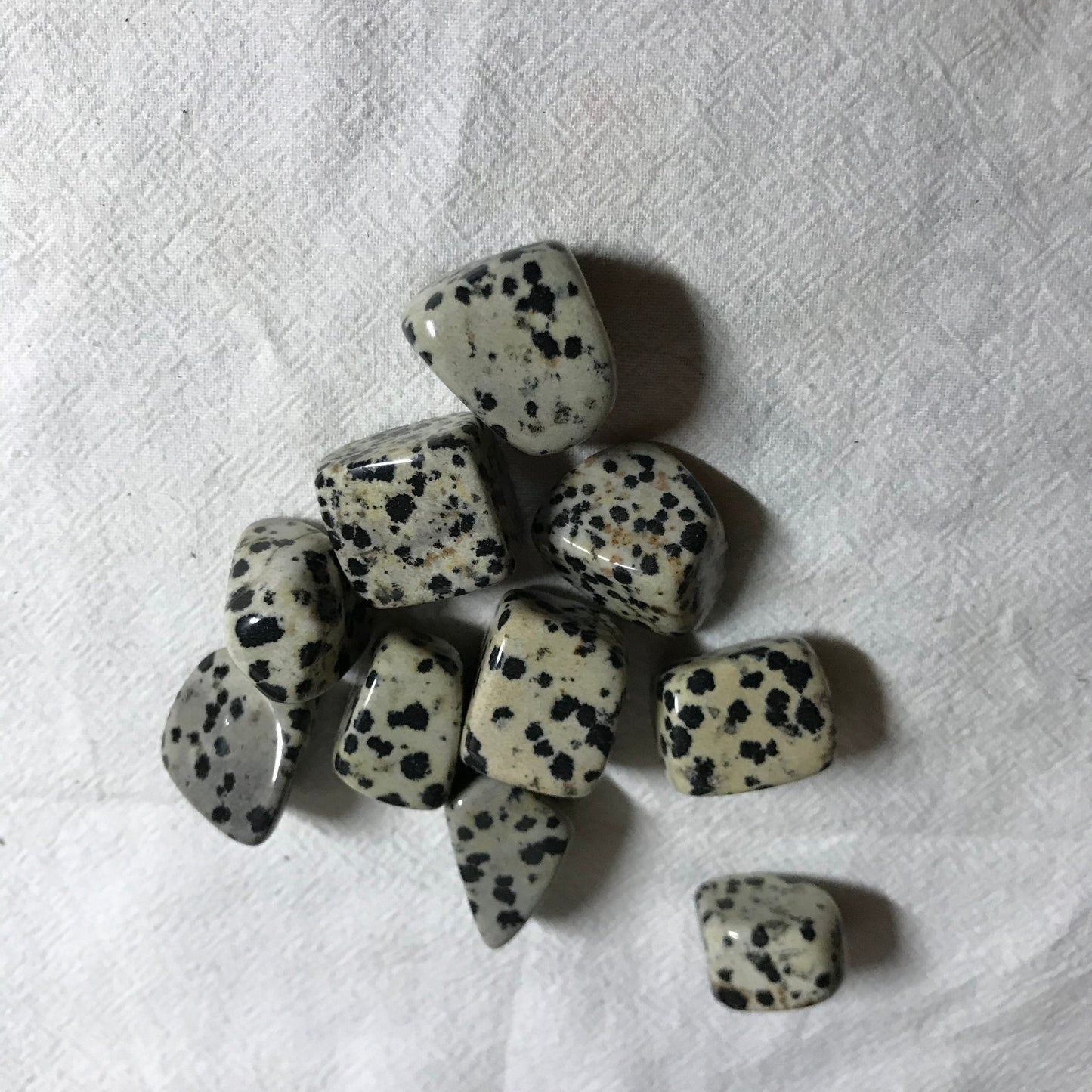 Dalmatian Jasper,  Polished Tumbled Stone (Approx 4/5" long)  Polished Stone, for Wire Wrapping or Crystal Grid Supply 0628