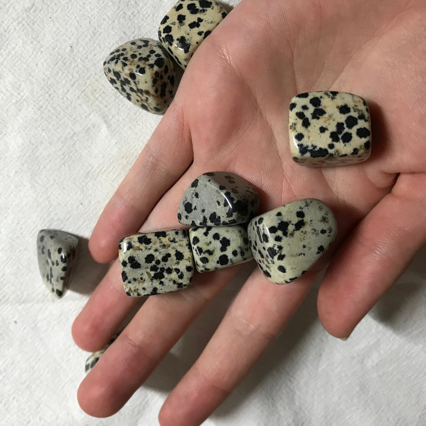 Dalmatian Jasper,  Polished Tumbled Stone (Approx 4/5" long)  Polished Stone, for Wire Wrapping or Crystal Grid Supply 0628