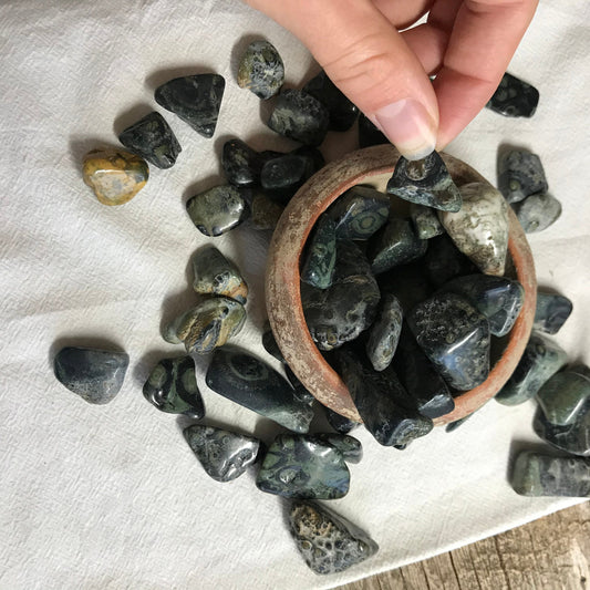 Kambaba Jasper, Polished Tumbled Stone (Approx. 5/8" - 1 1/8" long) Polished Stone, for Wire Wrapping or Crystal Grid Supply 0639