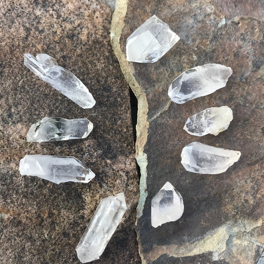 Natural Clear Quartz Crystal, (1 1/4" to 2 1/4" long) One Crystal, Metaphysical Quartz Rough 1306