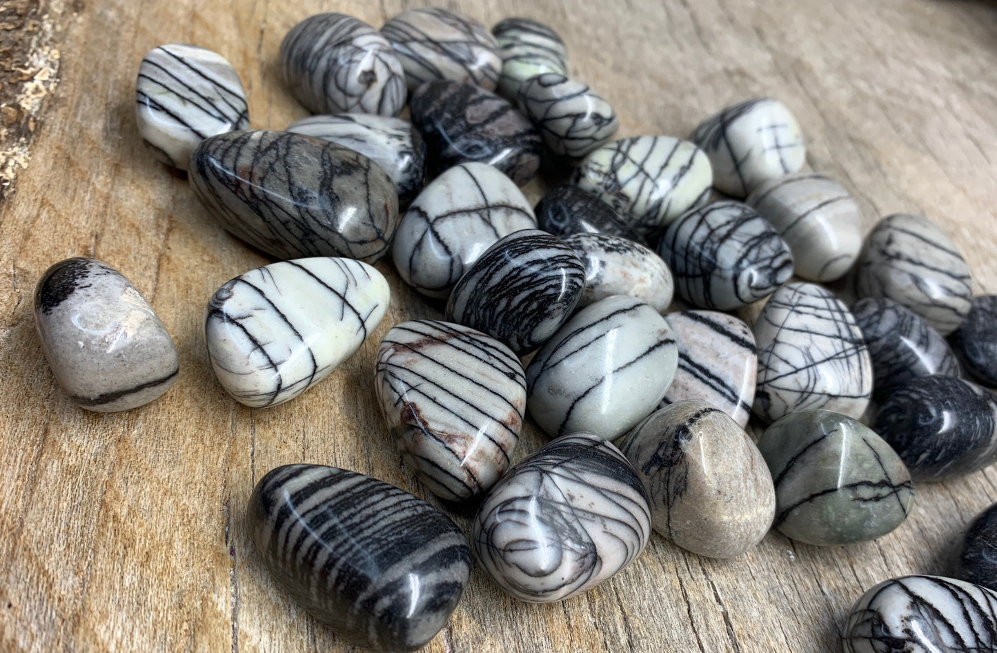 Spider Web Jasper (Approx. 3/4"- 1 1/4") BIN-1299 Tumbled Stone