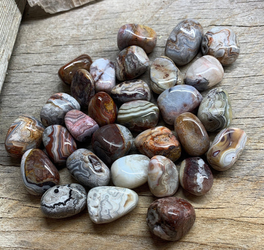 Mexican Agate/ Crazy Lace Agate BIN-1527 Approx. 1”- 1 1/2”