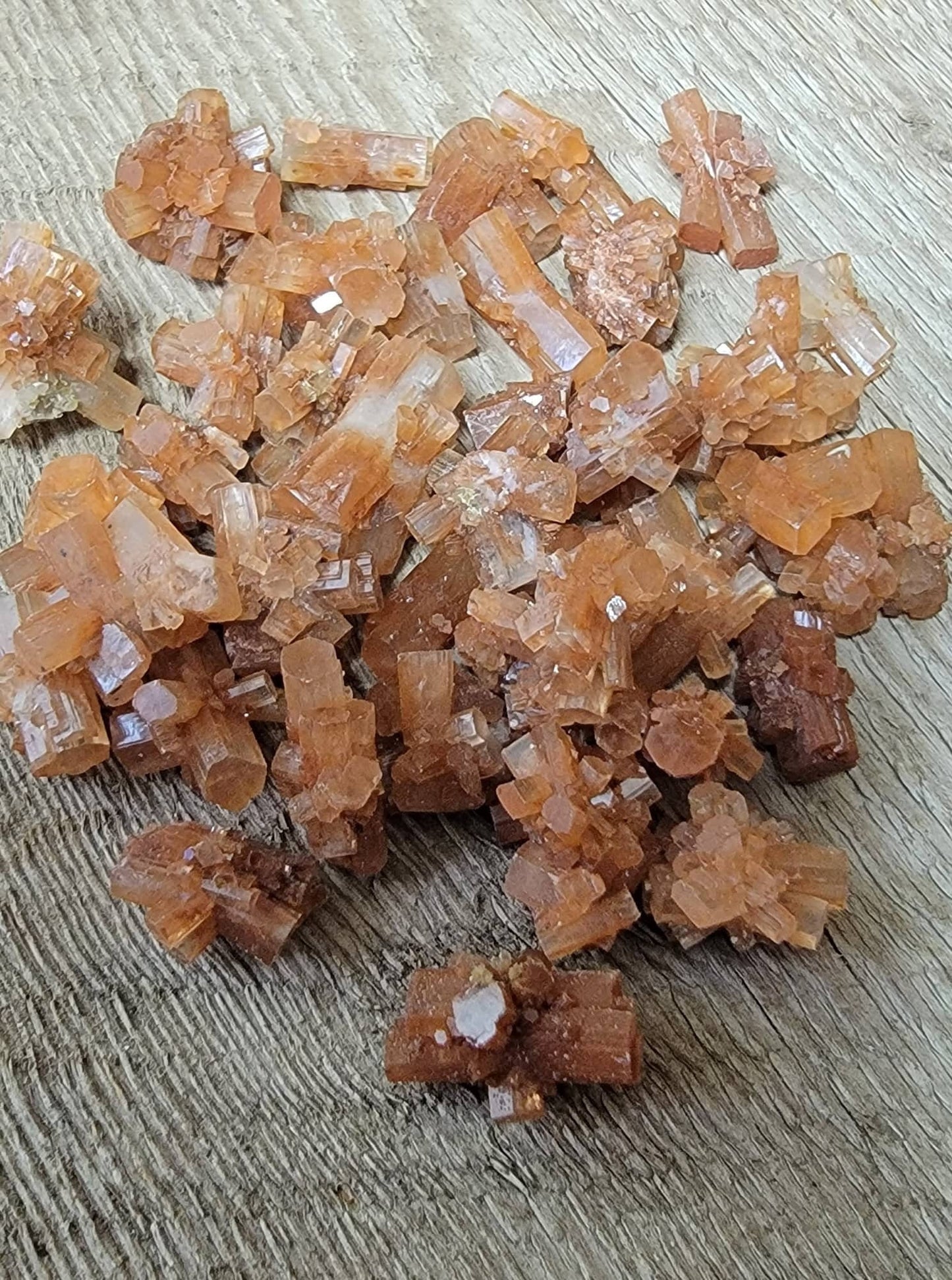 Aragonite Small/Tiny Crystal Cluster Explosion. Grounding Focused Attention 1320 (Approx. 5/8" - 1")