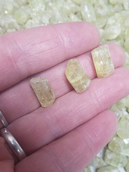 Golden Yellow Apatite, One stone, Very Small (3/8 to 1/2" long), Beautiful, Natural Crystal, Rough Healing Crystal, 0421