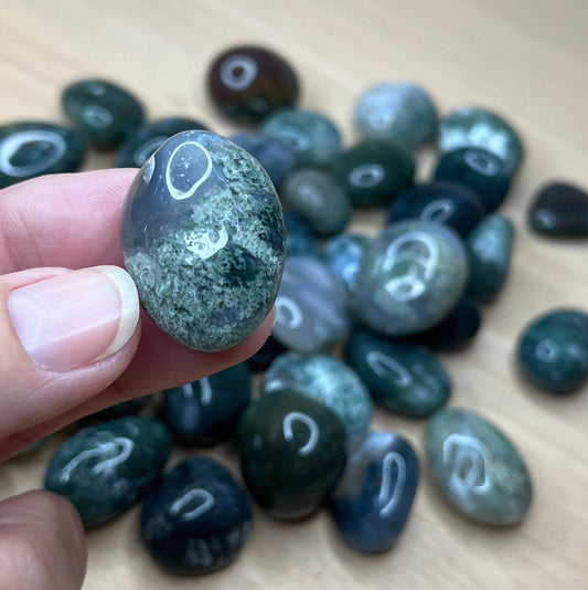 Moss Agate Tumbled Stone BIN-1259 Approx. 3/4”- 1 1/4”