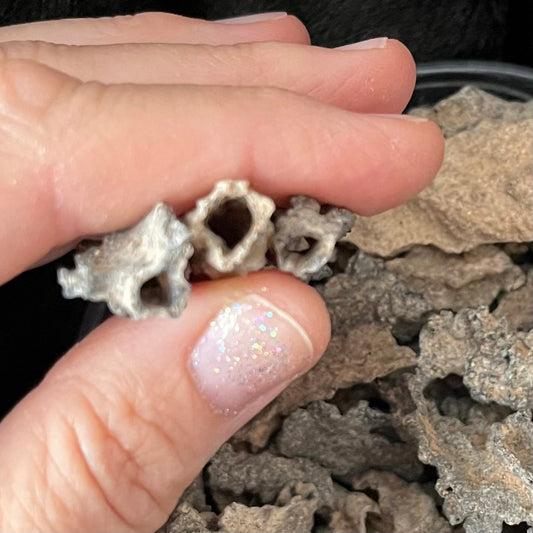 Fulgurite Lot, 160 Gm, RAW-0