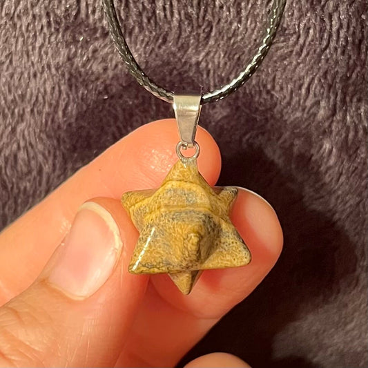 Picture Jasper Merkaba Necklace NCK-2759