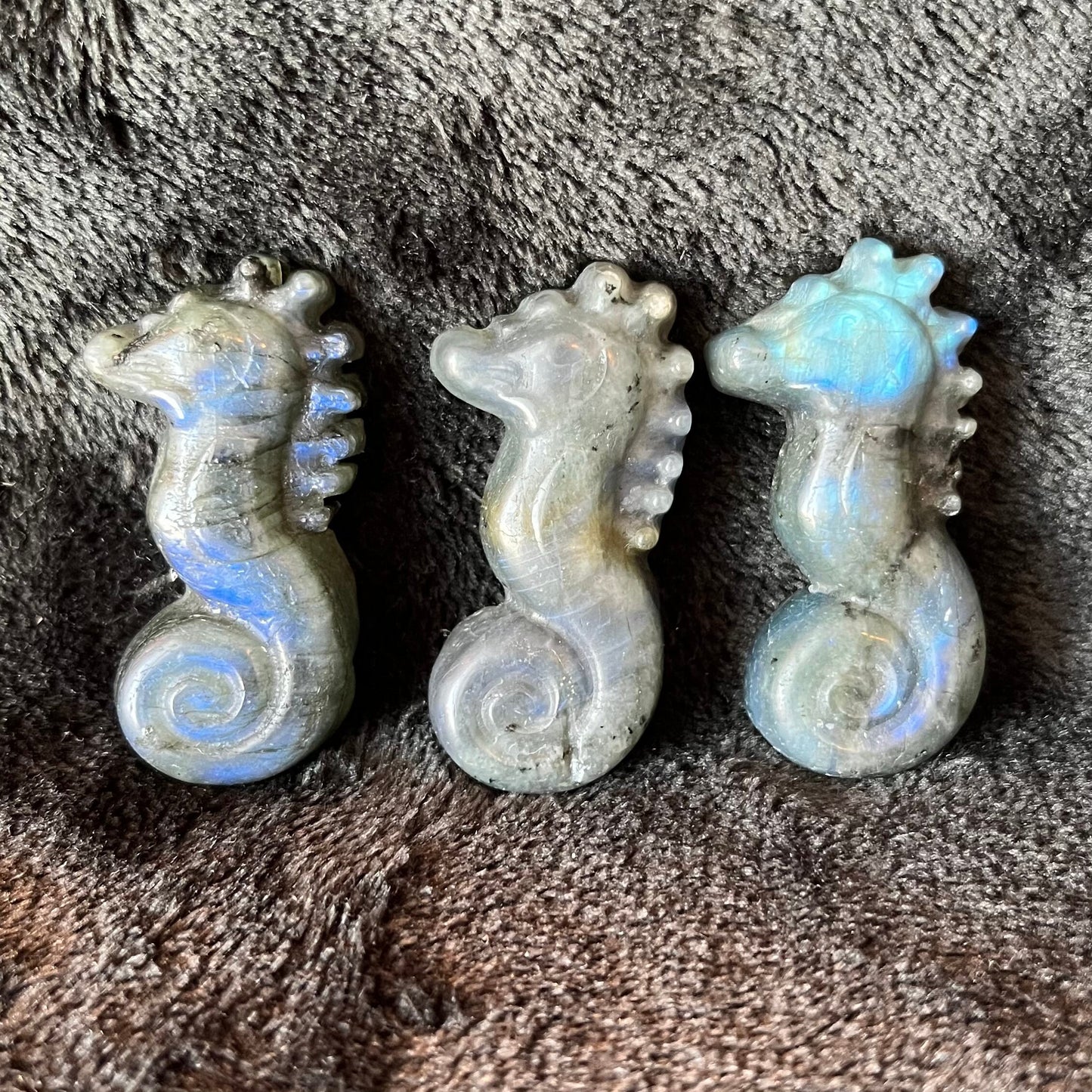 Labradorite Seahorse Figurine (Approx. 1 5/8”) 0988