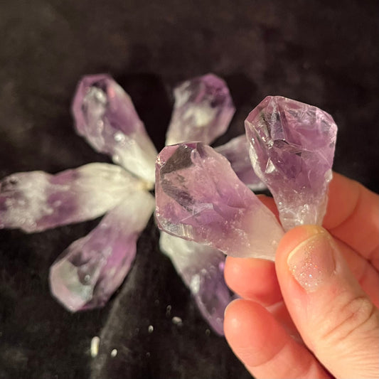 Dragon Tooth Amethyst, A Grade (Approx. 1 3/4”-2 1/2”) 0461