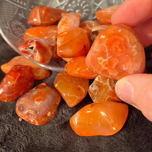 Carnelian Agate Tumbled Stone (Approx. 1 1/4” - 1 3/4”) BIN-1468
