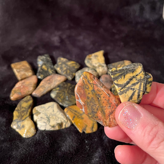 Yellow Feather Jasper Tumble Slab (Approx. 1 1/2”-1 3/4”) BIN-1486 (Found in Utah)