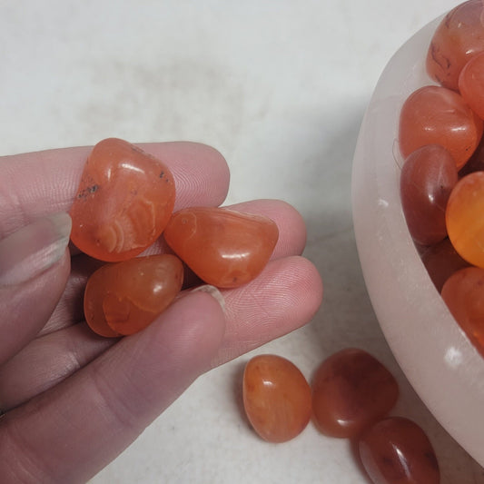 Carnelian Agate Tumbled Polished (Approx. 5/8" - 3/4") Polished Stone for Crystal Grid, Wire Wrapping or Craft Supply BIN-1496