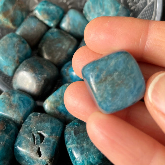 Blue Apatite Tumbled Stone (Approx. 3/4" - 1") BIN-1504