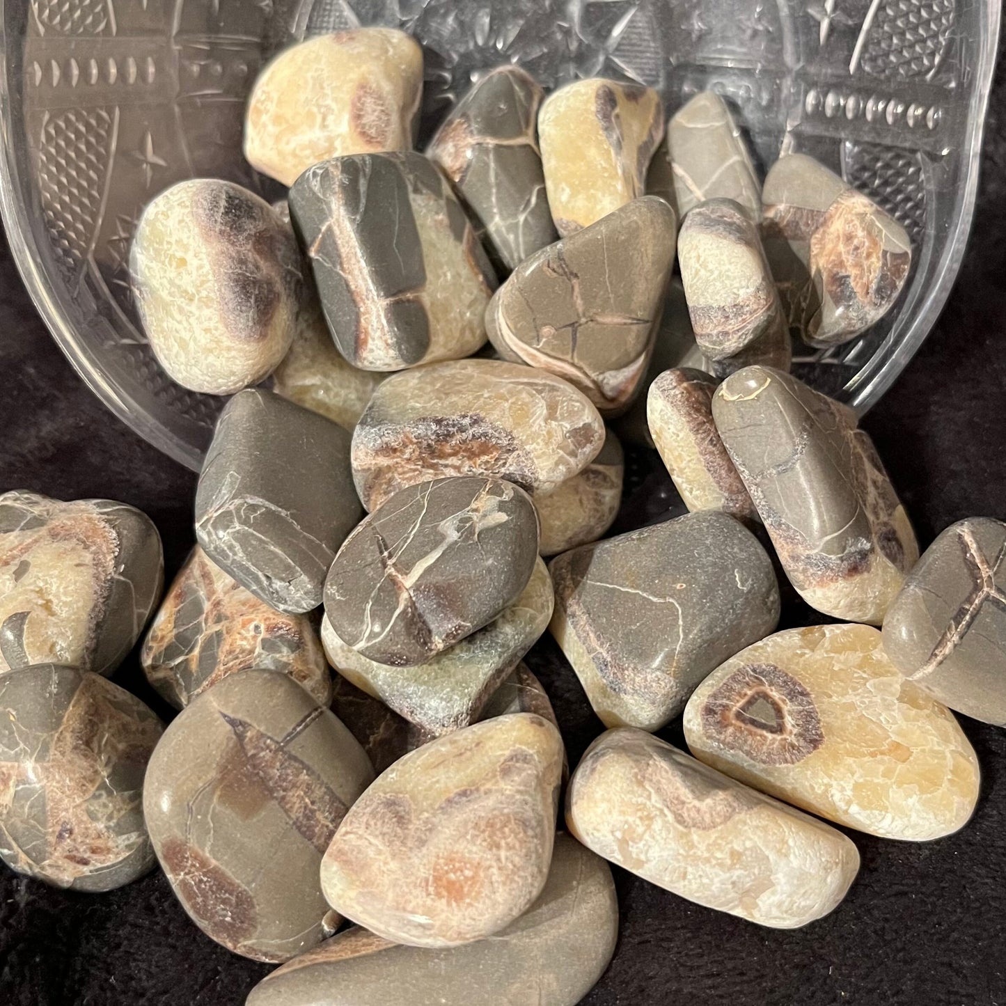 Septarian Nodule Tumbled Stone (Utah)  1”-1 1/4”) 0314