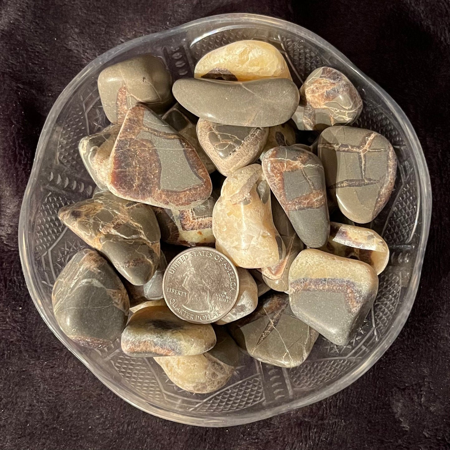 Septarian Nodule Tumbled Stone (Utah)  1”-1 1/4”) 0314