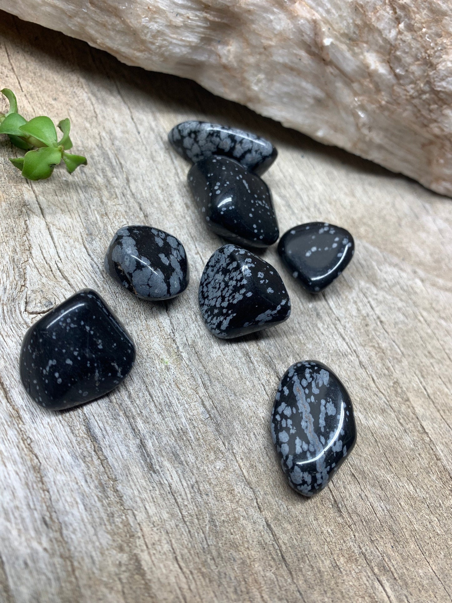 Snowflake Obsidian Tumbled Stone (Approx. 3/4" - 1") 0741