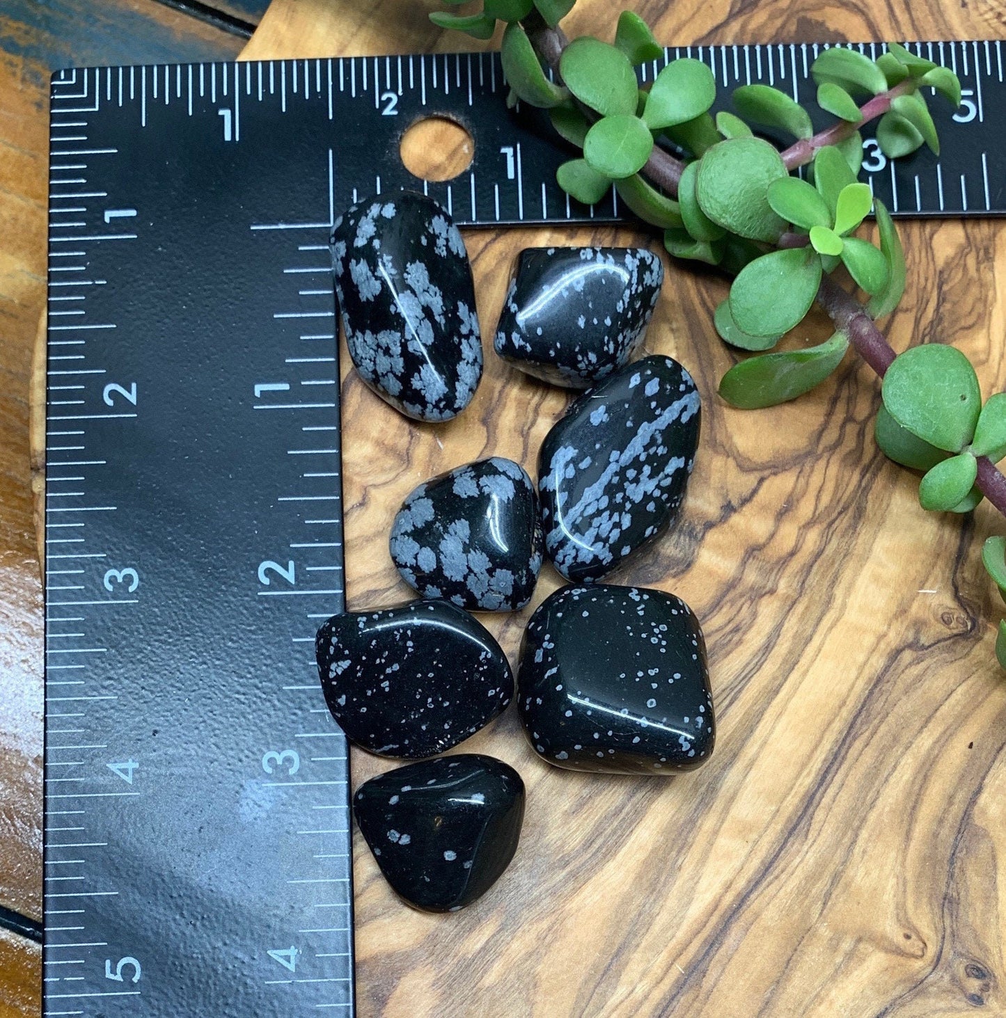 Snowflake Obsidian Tumbled Stone (Approx. 3/4" - 1") 0741