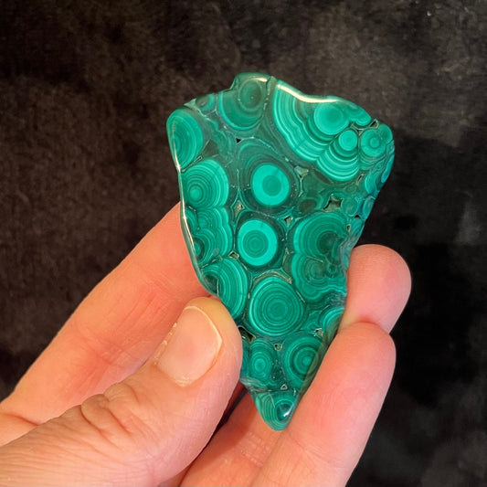 Malachite Polished Slab (Approx. 2” - 2 1/2”) 0222